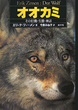 予約受付中】 コヨーテ 剥製 動物 壁掛け 置物 オオカミ