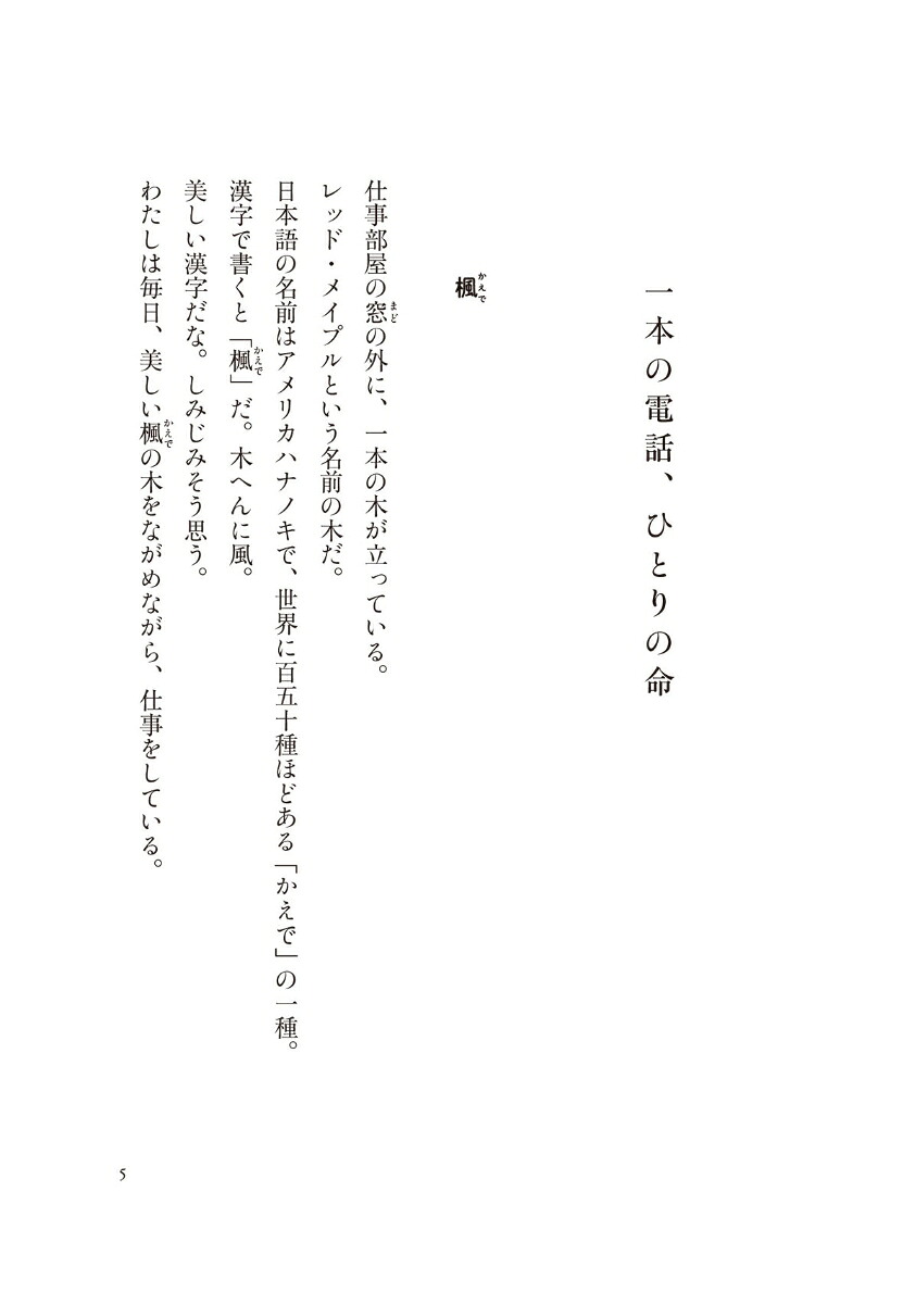 母の国、父の国[小手鞠るい]