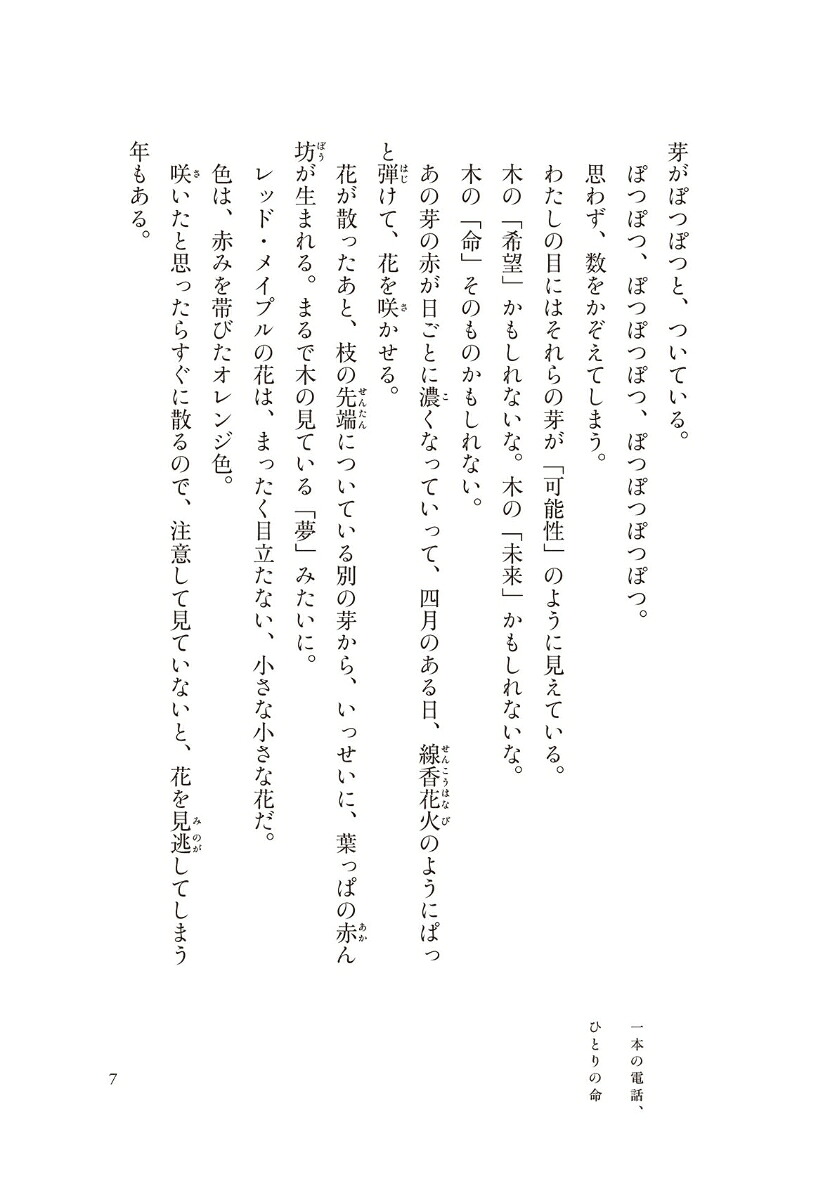 母の国、父の国[小手鞠るい]