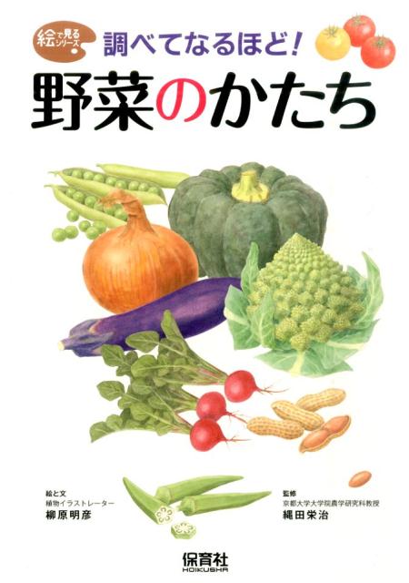 Ĵ�٤Ƥʤ�ۤɡ���ڤΤ������ʳ��Ǹ��륷�꡼����[������ɧ]