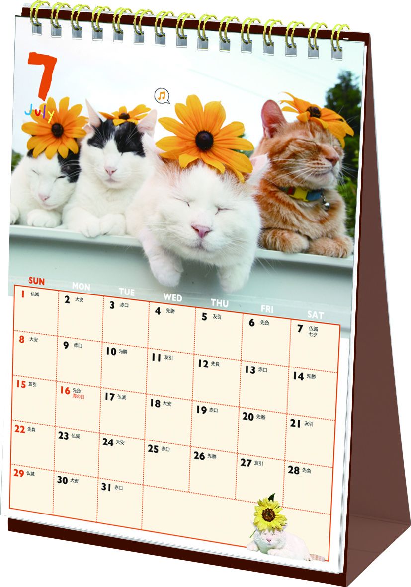 楽天ブックス かご猫 卓上カレンダー かご猫 Am 本