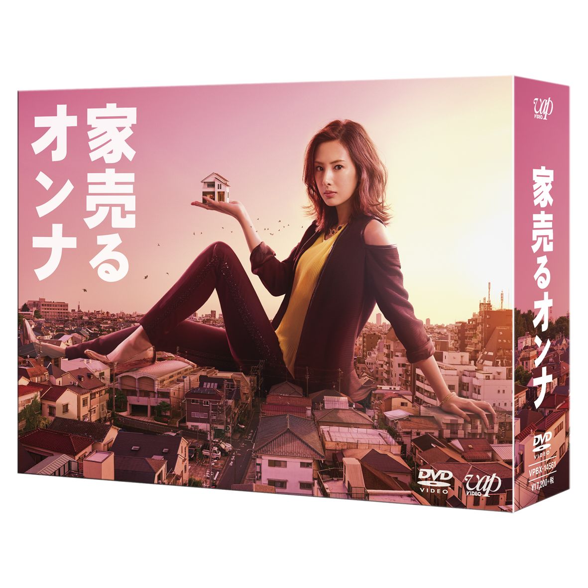 楽天ブックス: 家売るオンナ DVD-BOX - 北川景子 - 4988021145619 : DVD