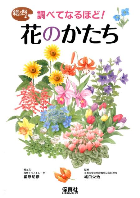 Ĵ٤Ƥʤۤɡ֤ΤʳǸ륷꡼[ɧ]