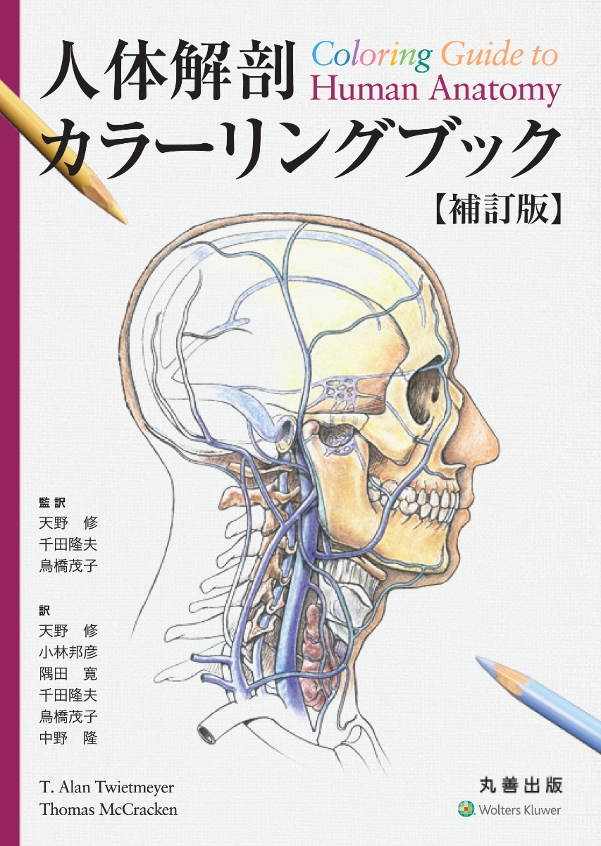 腹部血管画像解剖アトラス 衣袋健司 - 医学・薬学