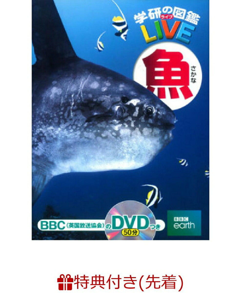 楽天ブックス 数量限定特典付き 魚 学研の図鑑live 本