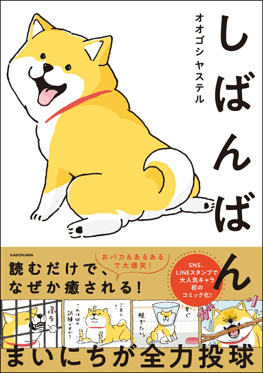 楽天ブックス しばんばん オオゴシヤステル 本