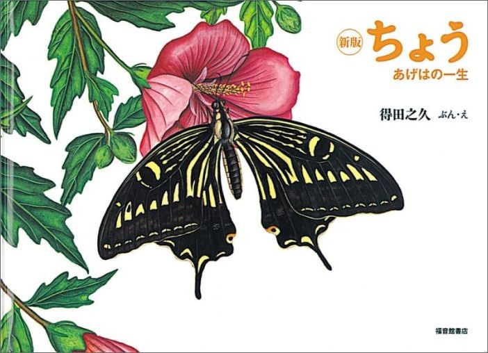 ���礦����