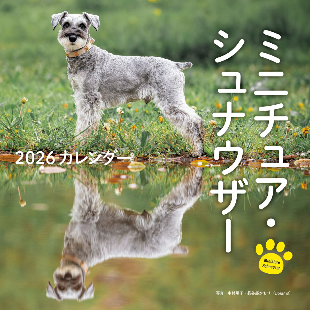 楽天市場】［公式］PICTWANカレンダー 2026年【L判】シュナウザー