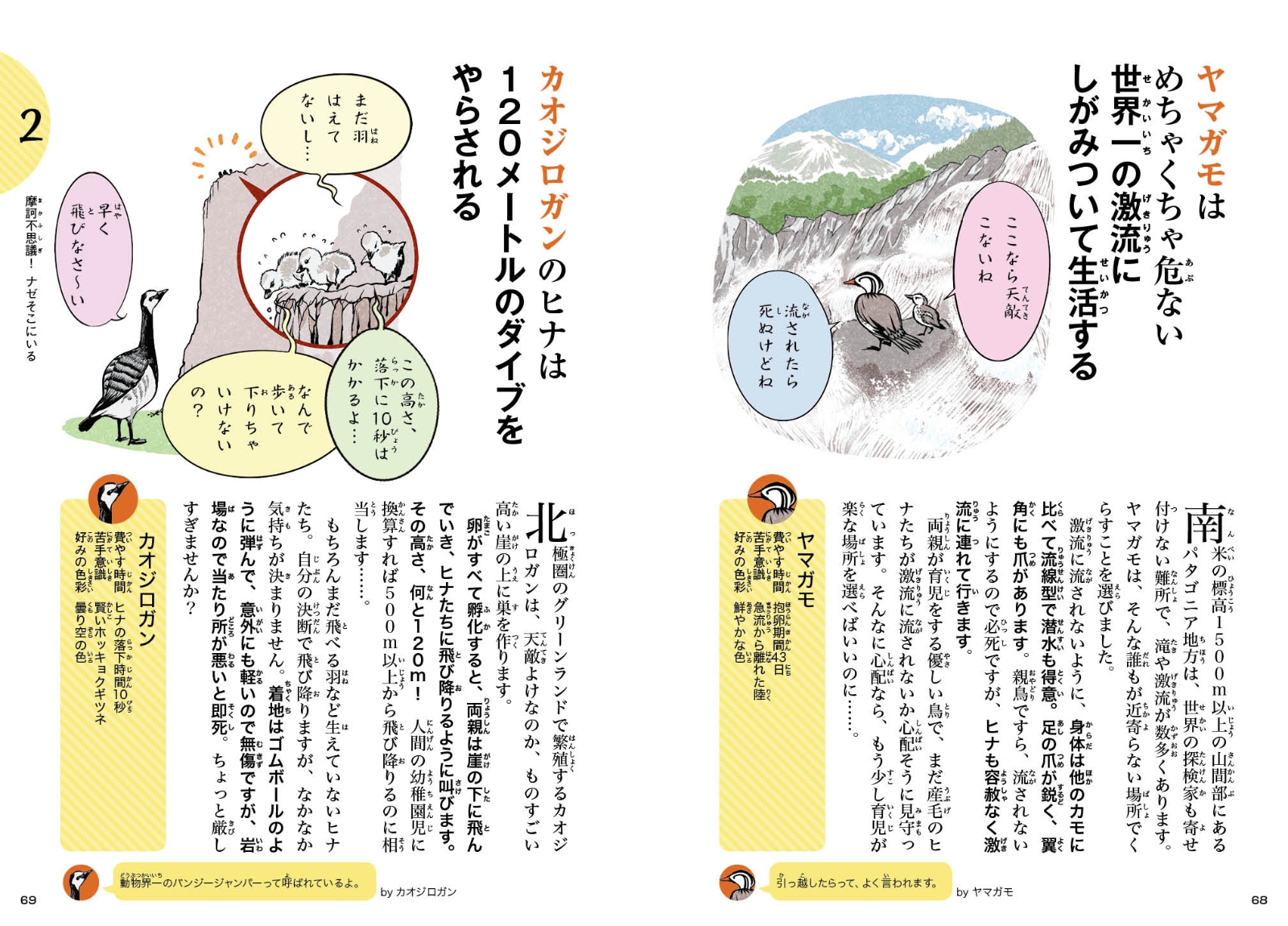 楽天ブックス もっとしくじり動物大集合 新宅広二 本