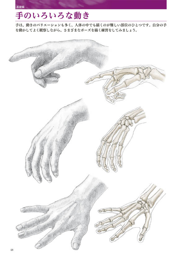 楽天ブックス 人体を描きたい人のための 美術解剖学 金井 裕也 本