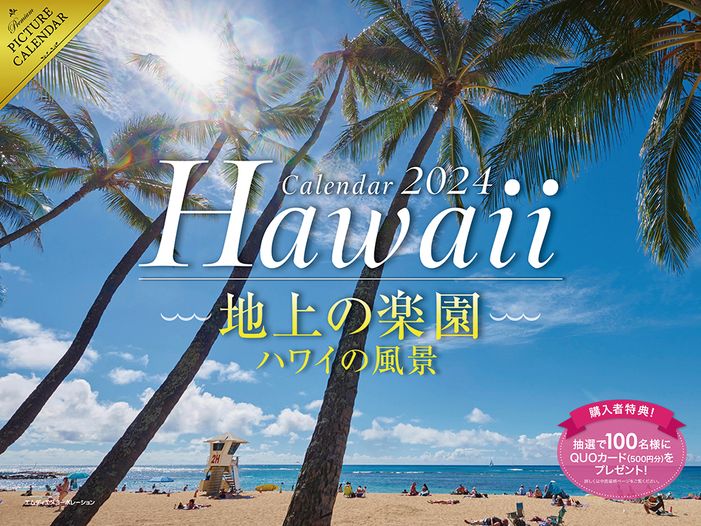 楽天ブックス: 2024 地上の楽園ハワイの風景カレンダー MdN編集部 9784295205692 本