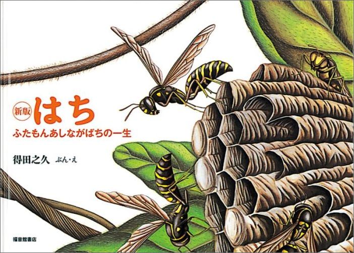 はち新版