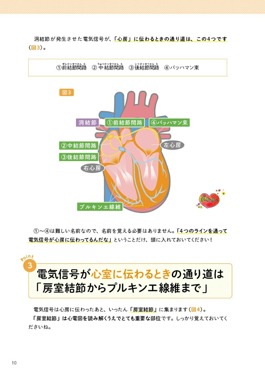 �Ǹ�狼�롼���ſޡʴǸ�roo!BOOKS��[�������]