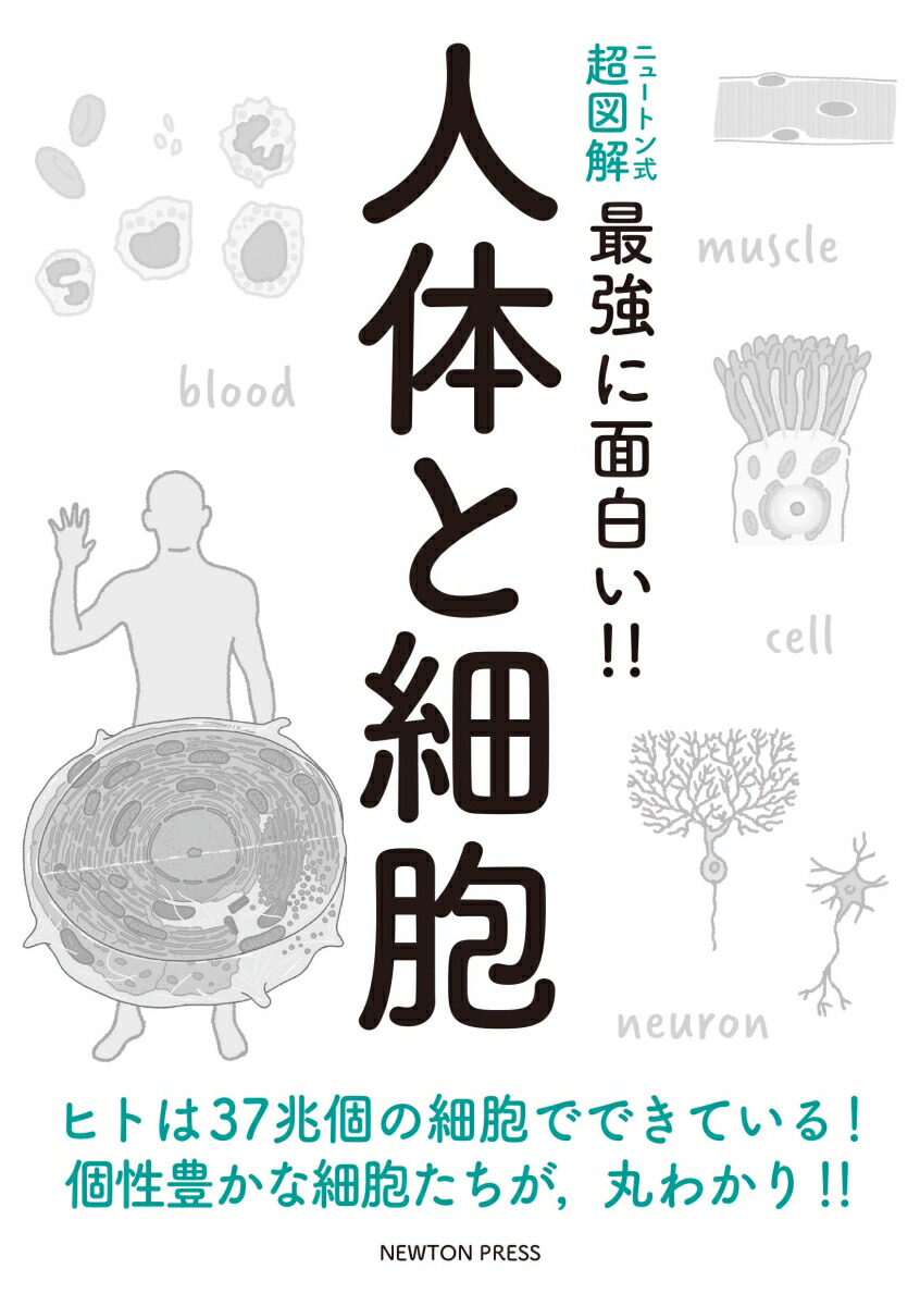 楽天ブックス: ニュートン式 超図解 最強に??い!! 人体と細胞 - 田沼靖