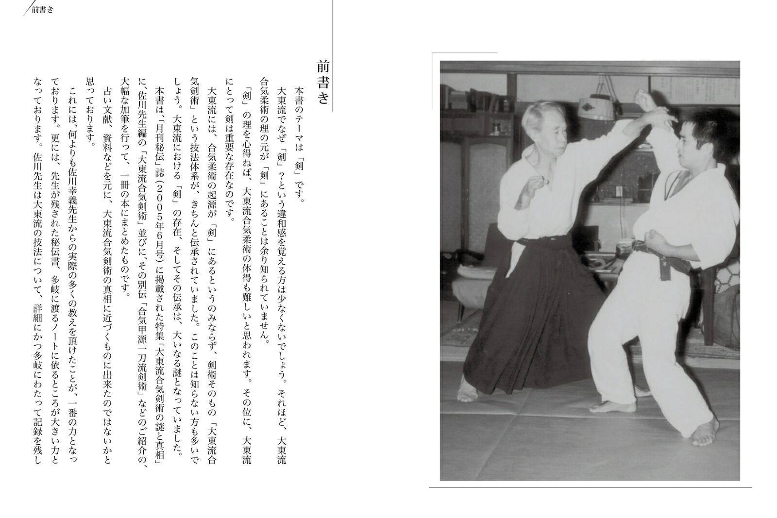 佐川幸義伝大東流合気剣術[高橋賢]
