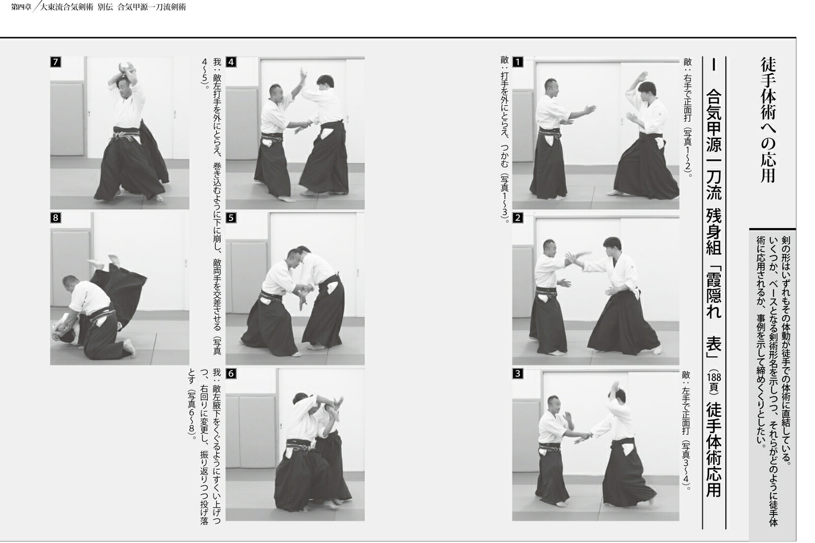 佐川幸義伝大東流合気剣術[高橋賢]
