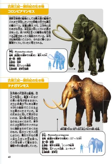 楽天ブックス 恐竜キングダム 12 マンモスvsスミロドン 小林 快次 本