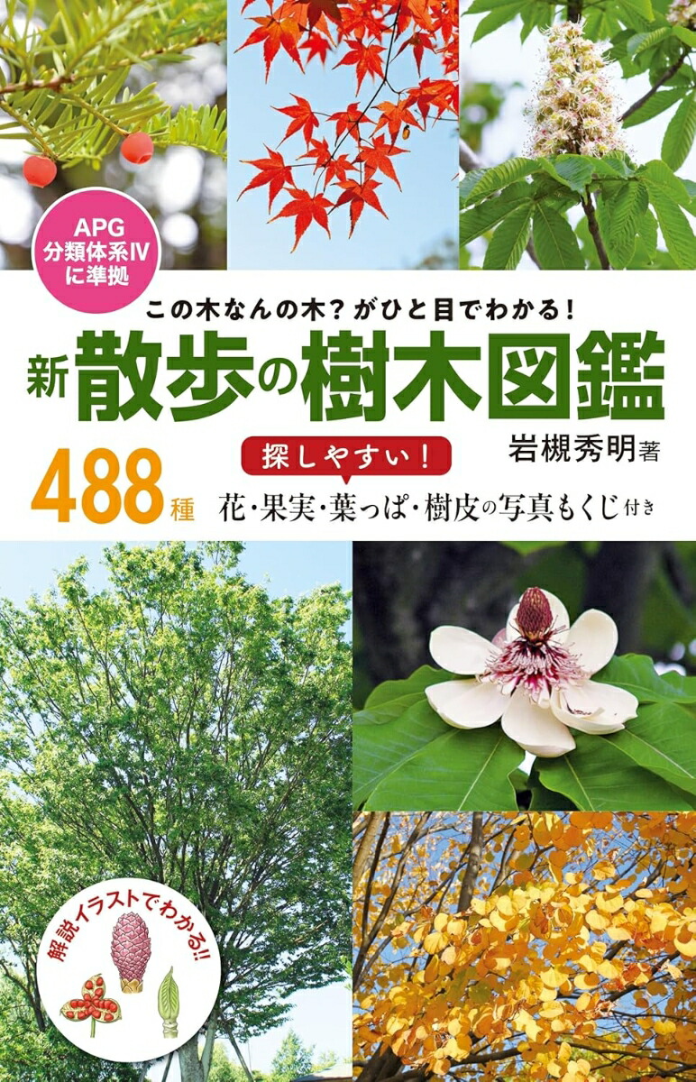 ڤʤڡҤܤǤ狼롪μڿ޴[н]