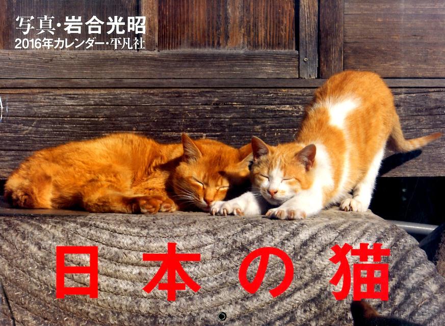楽天ブックス 日本の猫カレンダー 16 岩合光昭 本