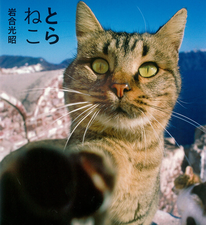 �Ȥ�ͤ�[������]