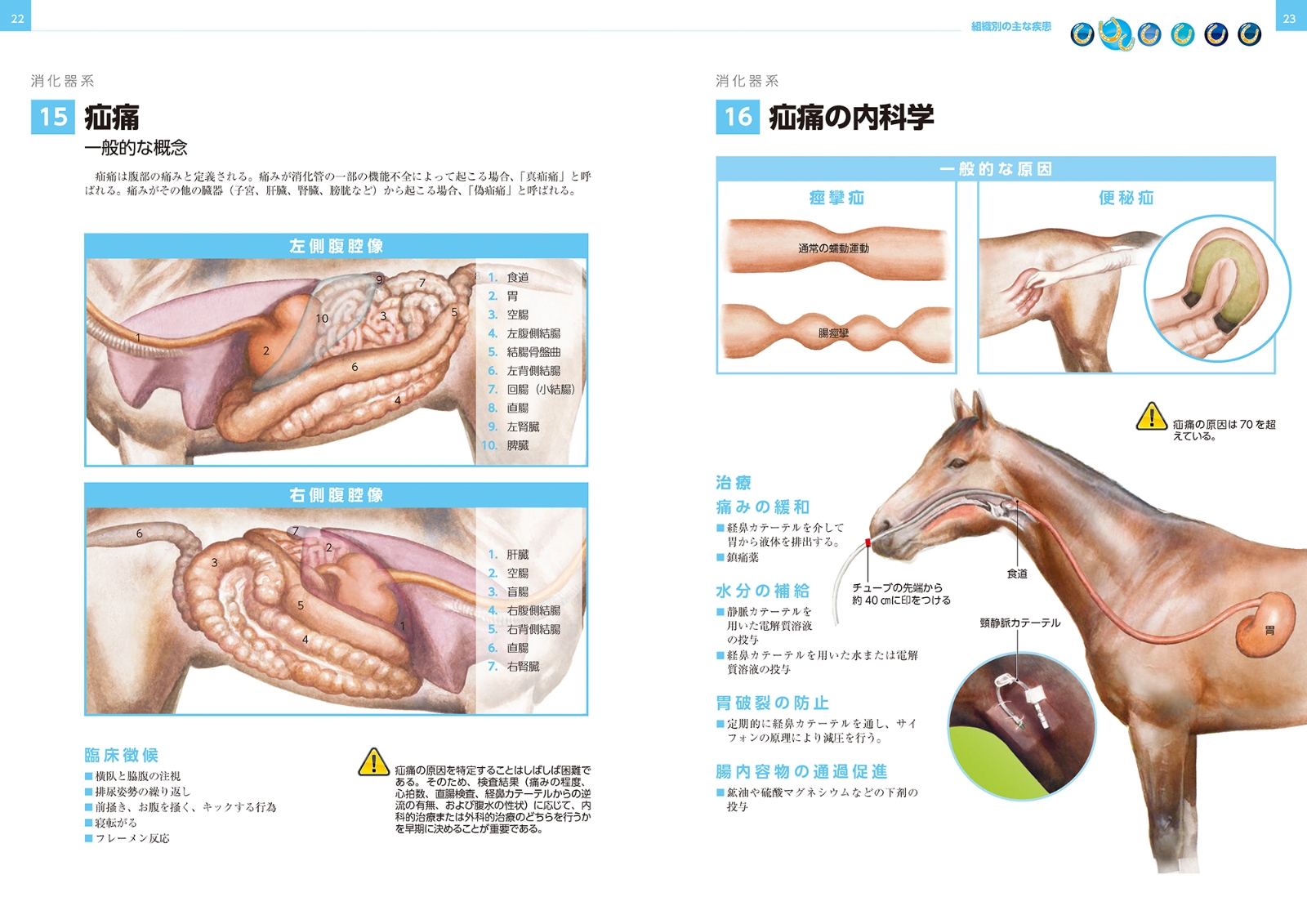 再入荷送料無料 イラストでみる馬の病気 メール便6 その他本 雑誌 コミック Bjorgunarfelag Is