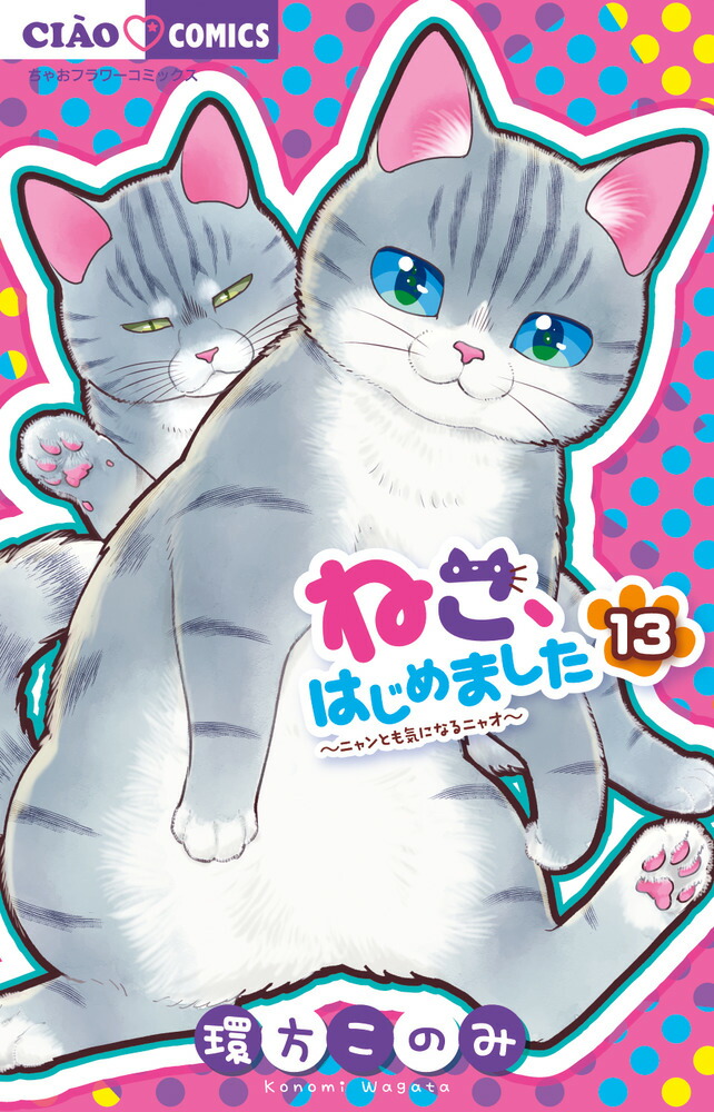 楽天ブックス: ねこ、はじめました（13） - 環方 このみ