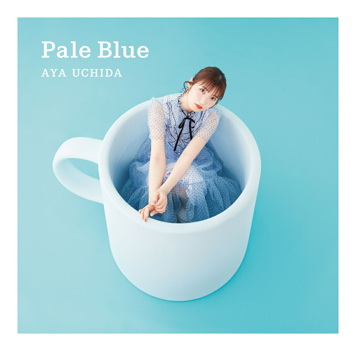 ڳŷ֥åŵPaleBlue(CDDVD)(֥ޥ)[ĺ]