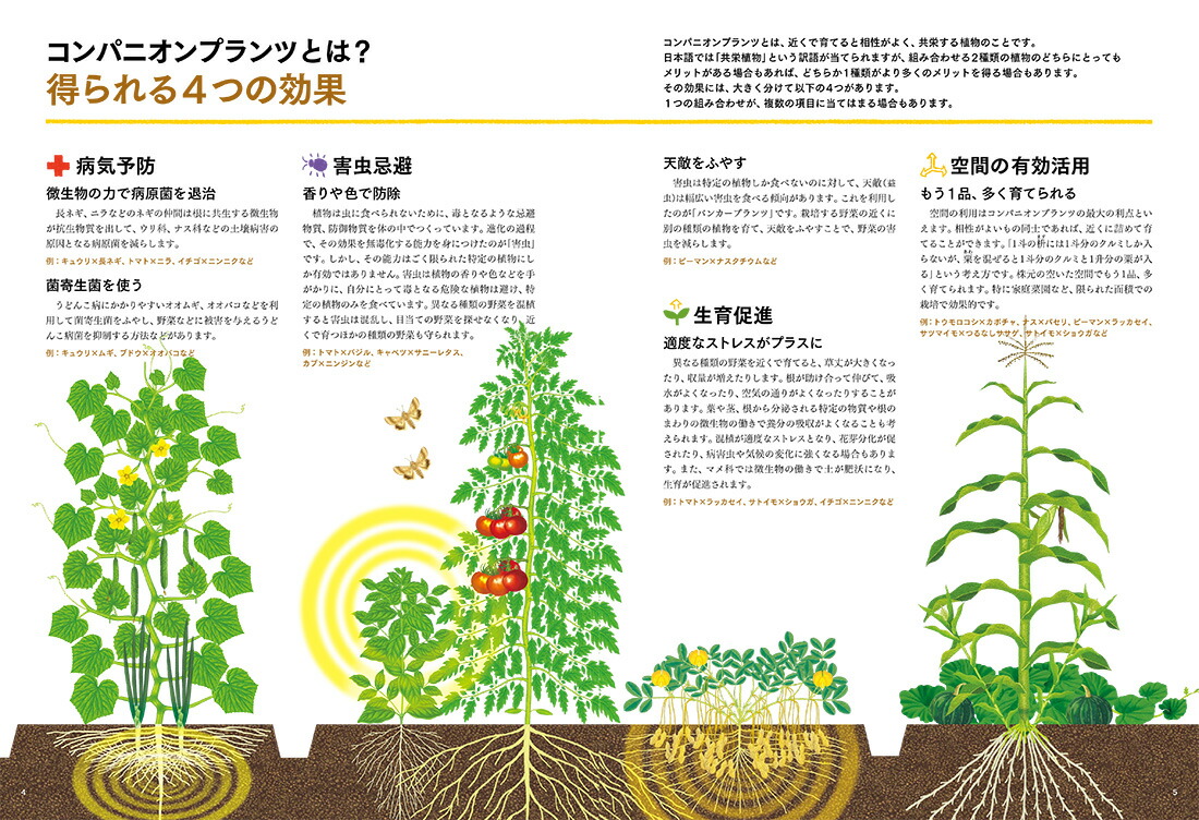 楽天ブックス 育ちがよくなる 病害虫に強くなる 植え合わせワザ 決定版 コンパニオンプランツの野菜づくり 木嶋利男 本