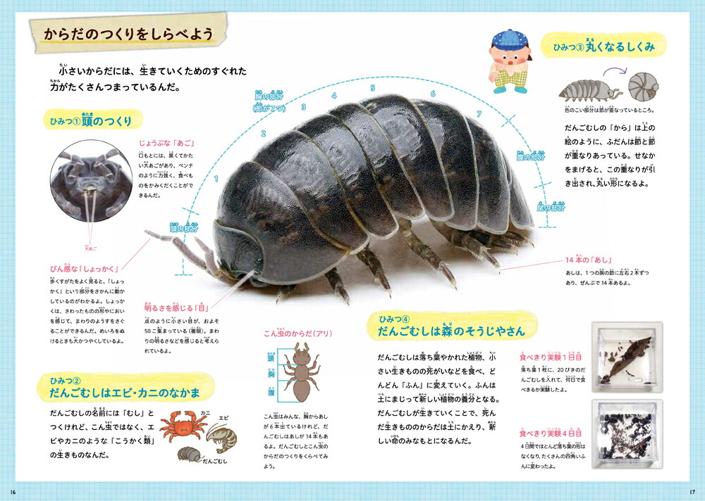 だんごむしわくわくめいろハウス　（科学と学習PRESENTS）