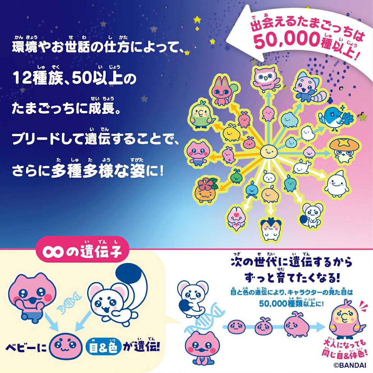 TamagotchiParadise-OrangeTropics