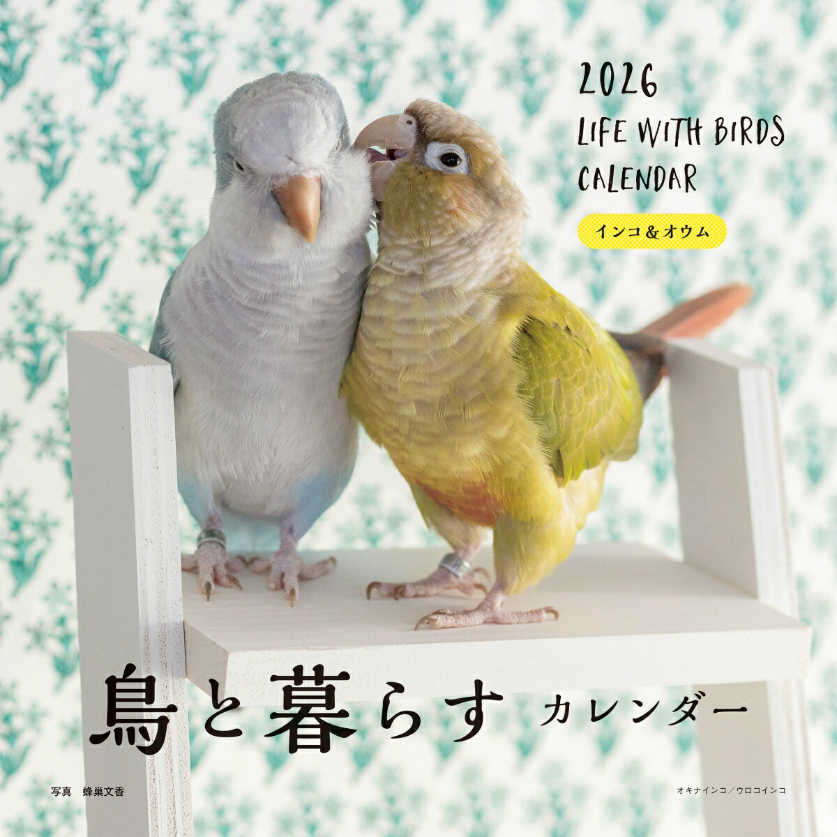 楽天市場】【予約販売】 インコのポコそら 鳥 2026年 壁掛けカレンダー