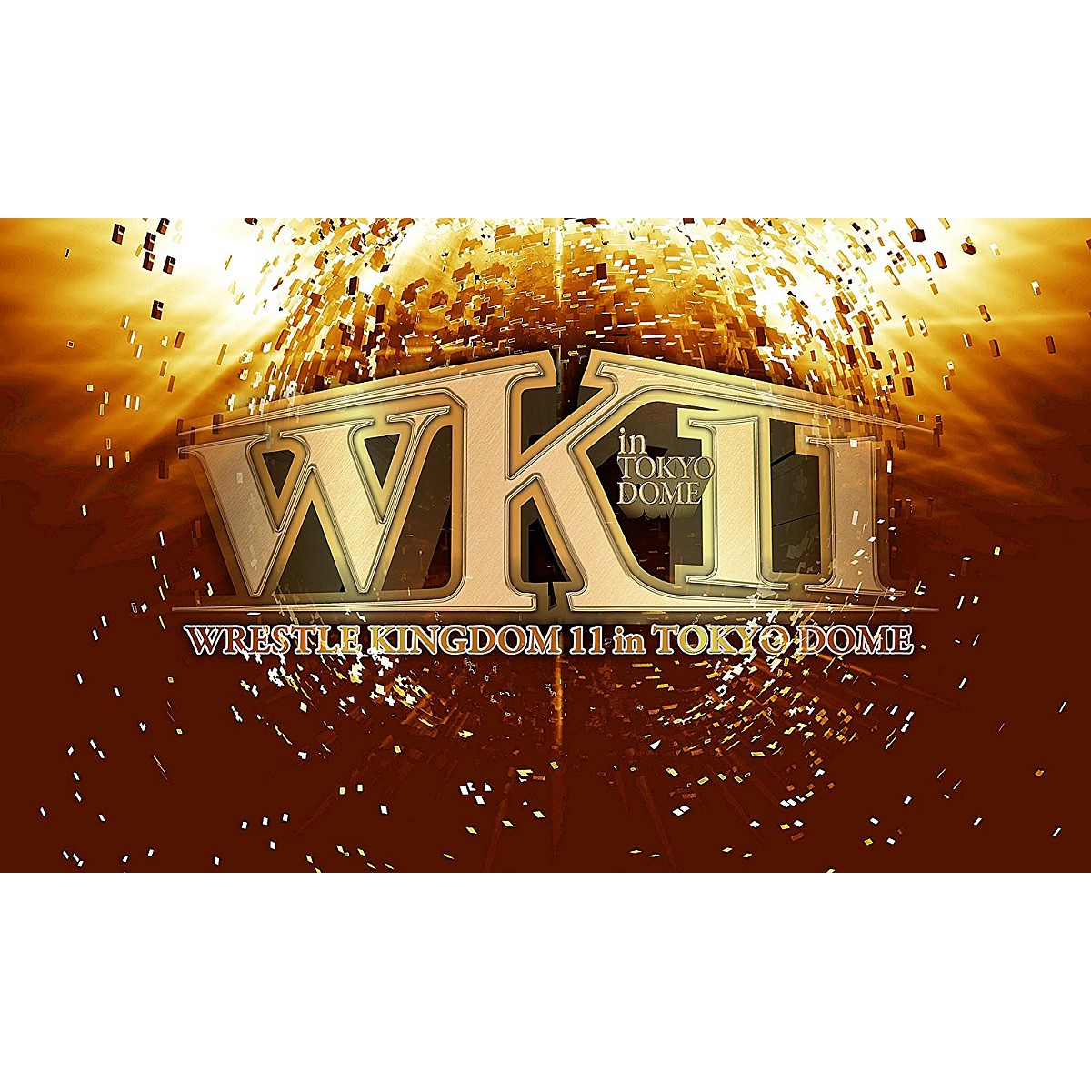 楽天市場】【送料無料】レッスルキングダム14 2020.1.4&1.5 TOKYO DOME