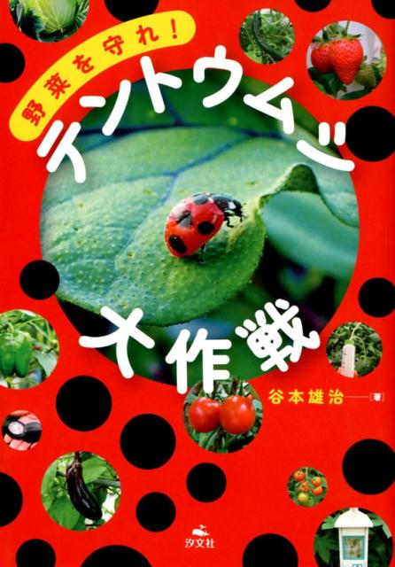 楽天ブックス てんとうむし大作戦 野菜を守れ 谷本雄治 本