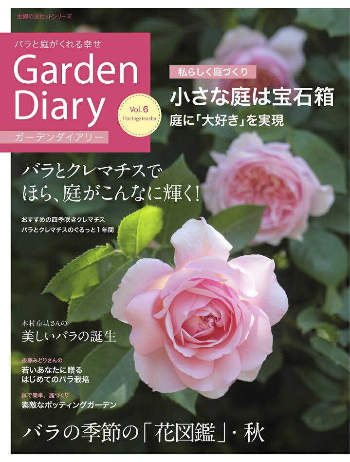 ǥ꡼Х빬Vol6[Ȭ]