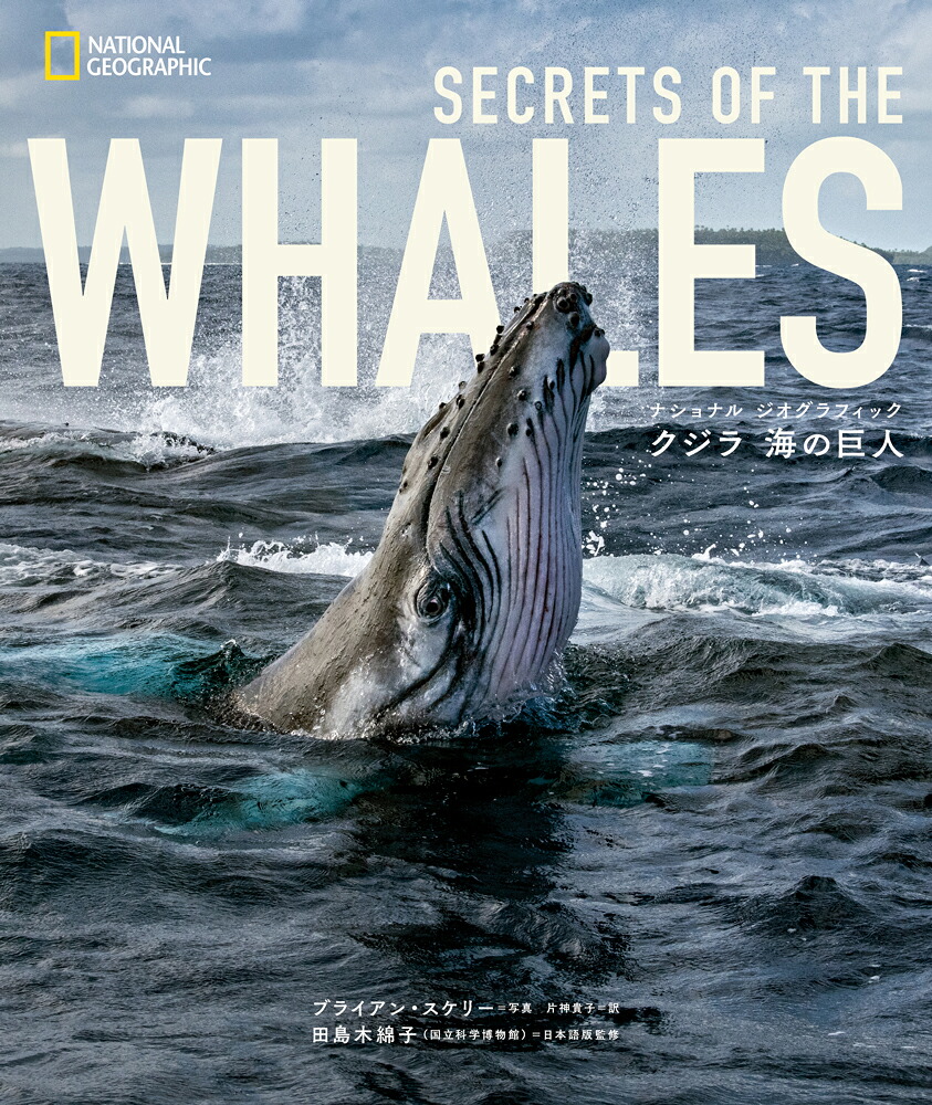 ナショナルジオグラフィッククジラ海の巨人[ブライアン・スケリー]