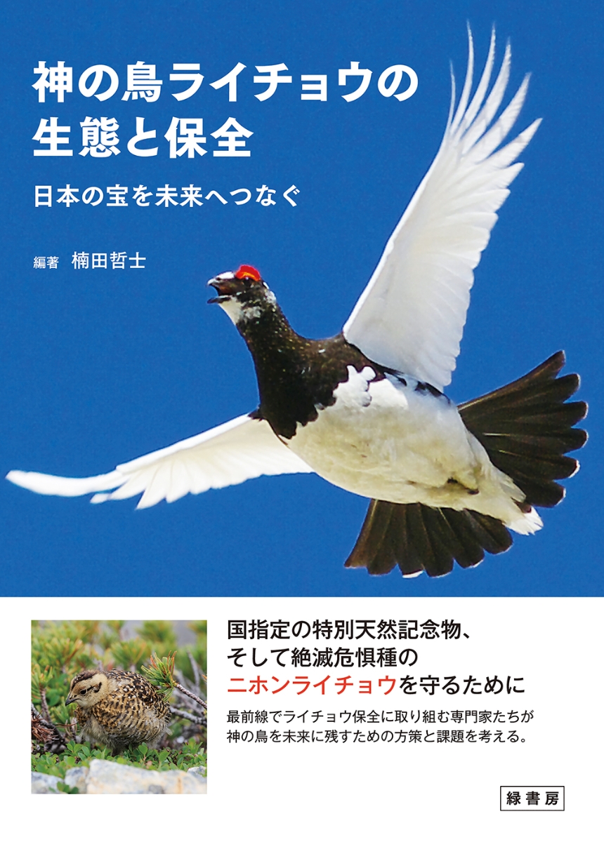 楽天ブックス 神の鳥ライチョウの生態と保全 日本の宝を未来へつなぐ 楠田 哲士 本