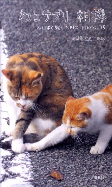 ͤץͤˤ褯NEKO-PHOTO175[LOVECAT44]
