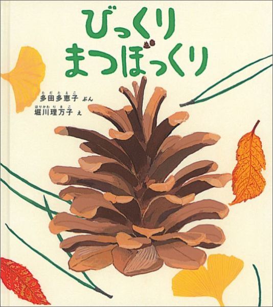 びっくりまつぼっくり
