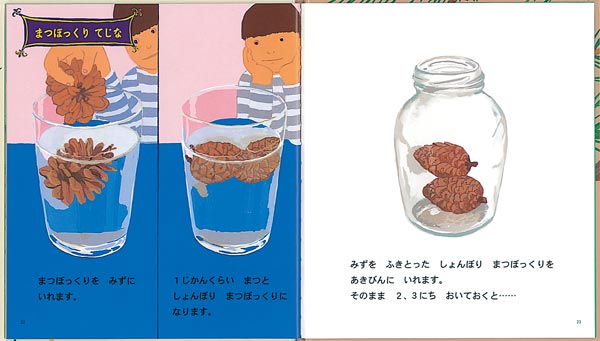 びっくりまつぼっくり（幼児絵本ふしぎなたねシリーズ）[多田多恵子]