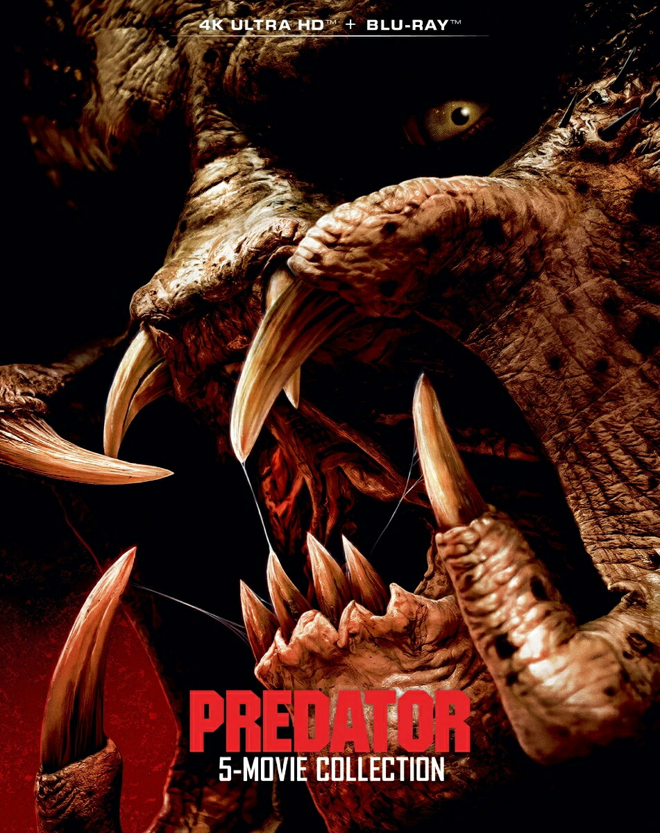 �ץ�ǥ����ڥ󥿥�����BOX��4KUHD+�֥롼�쥤��10���ȡ��4KULTRAHD��[�����Υ�ɡ�������ĥ��ͥå���]