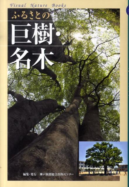 դ뤵Ȥε̾ڡʥӥ奢롦ͥ㡼֥å[Ϳʹǥ󥿡]