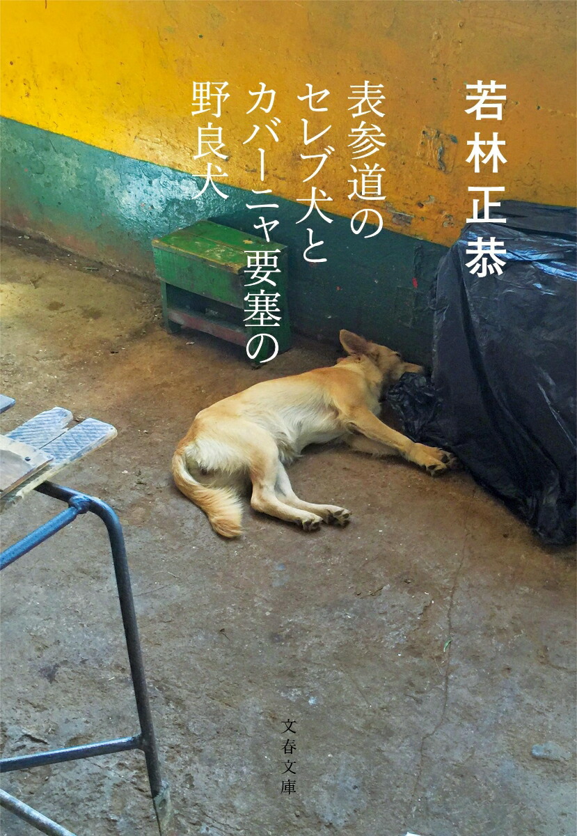 楽天ブックス 表参道のセレブ犬とカバーニャ要塞の野良犬 若林 正恭 本