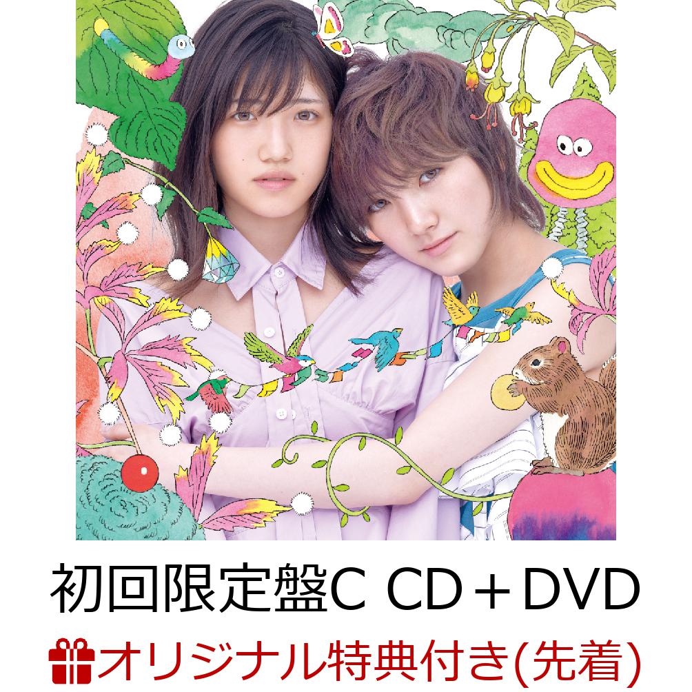 �ڳ�ŷ�֥å�������������ŵ�ۥ����ƥʥ֥�(��������CD��DVDType-C)(���̿��դ�)[AKB48]