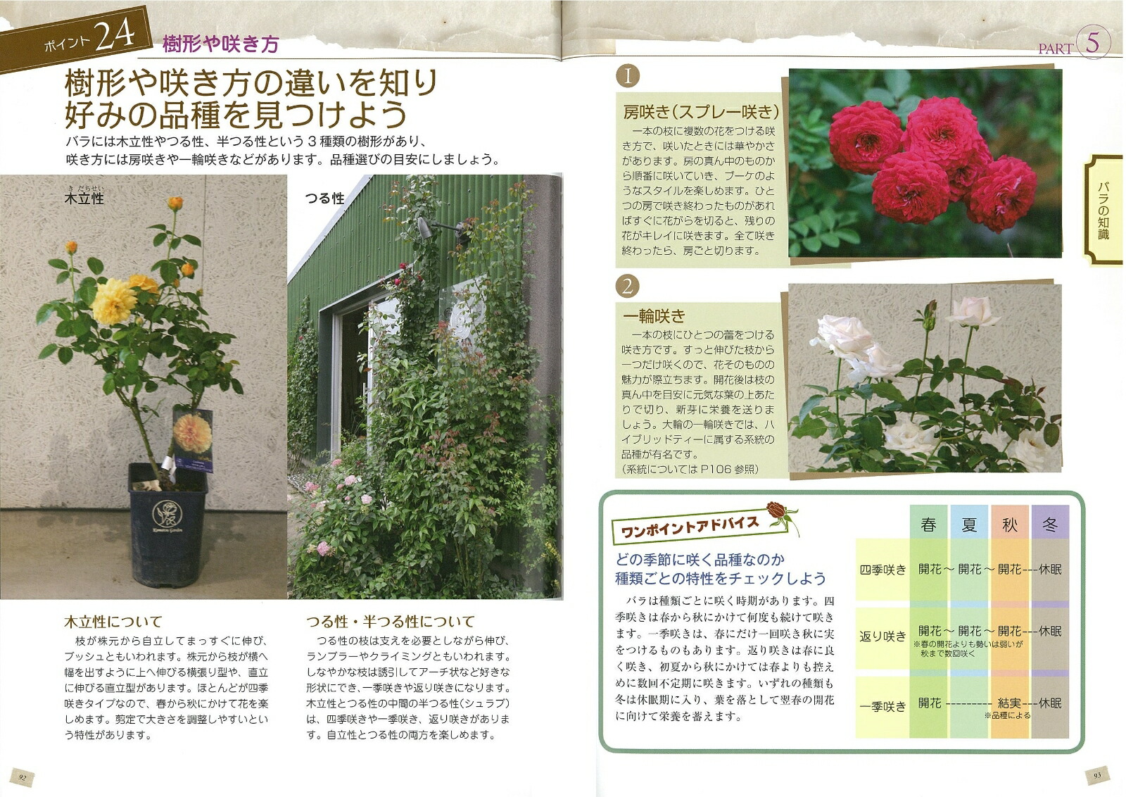 楽天ブックス 美しく咲かせる 鉢バラ 育て方のポイント 後藤 みどり 本