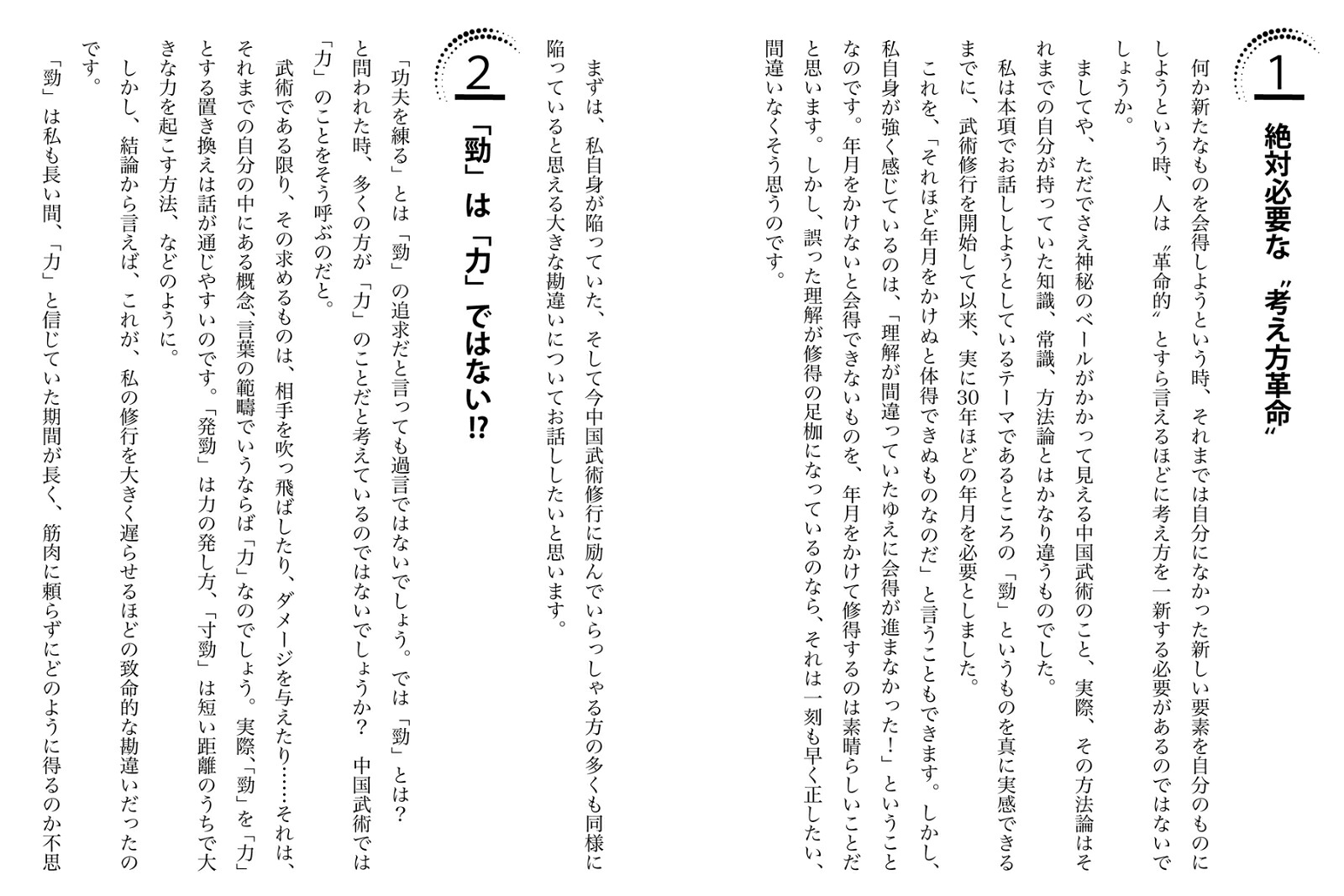 功夫(クンフー)の練り方強さの正体勁は力ではない！[遠藤靖彦]