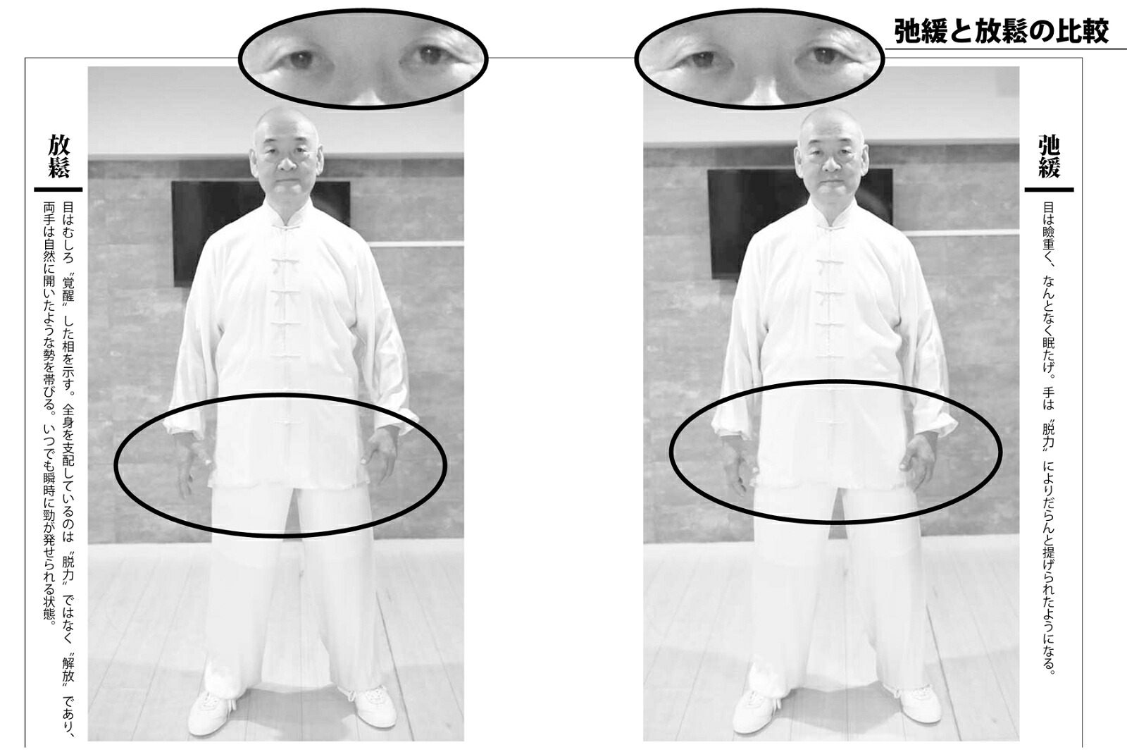 功夫(クンフー)の練り方強さの正体勁は力ではない！[遠藤靖彦]