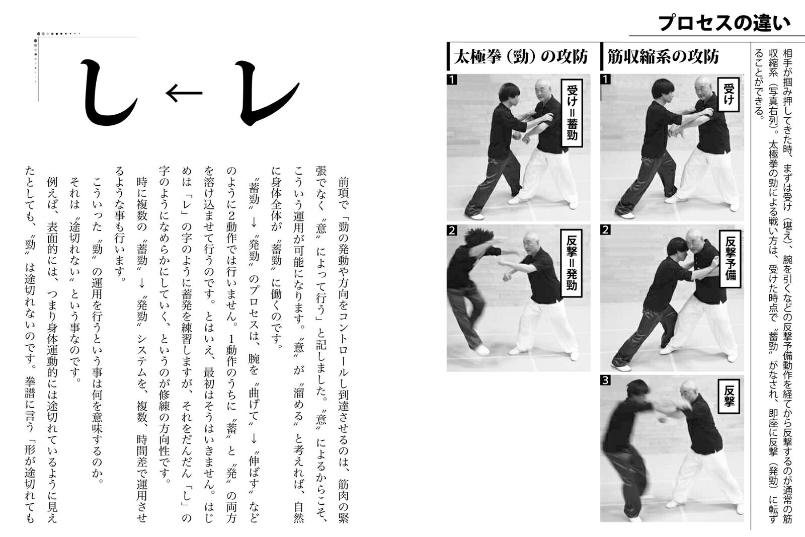 功夫(クンフー)の練り方強さの正体勁は力ではない！[遠藤靖彦]