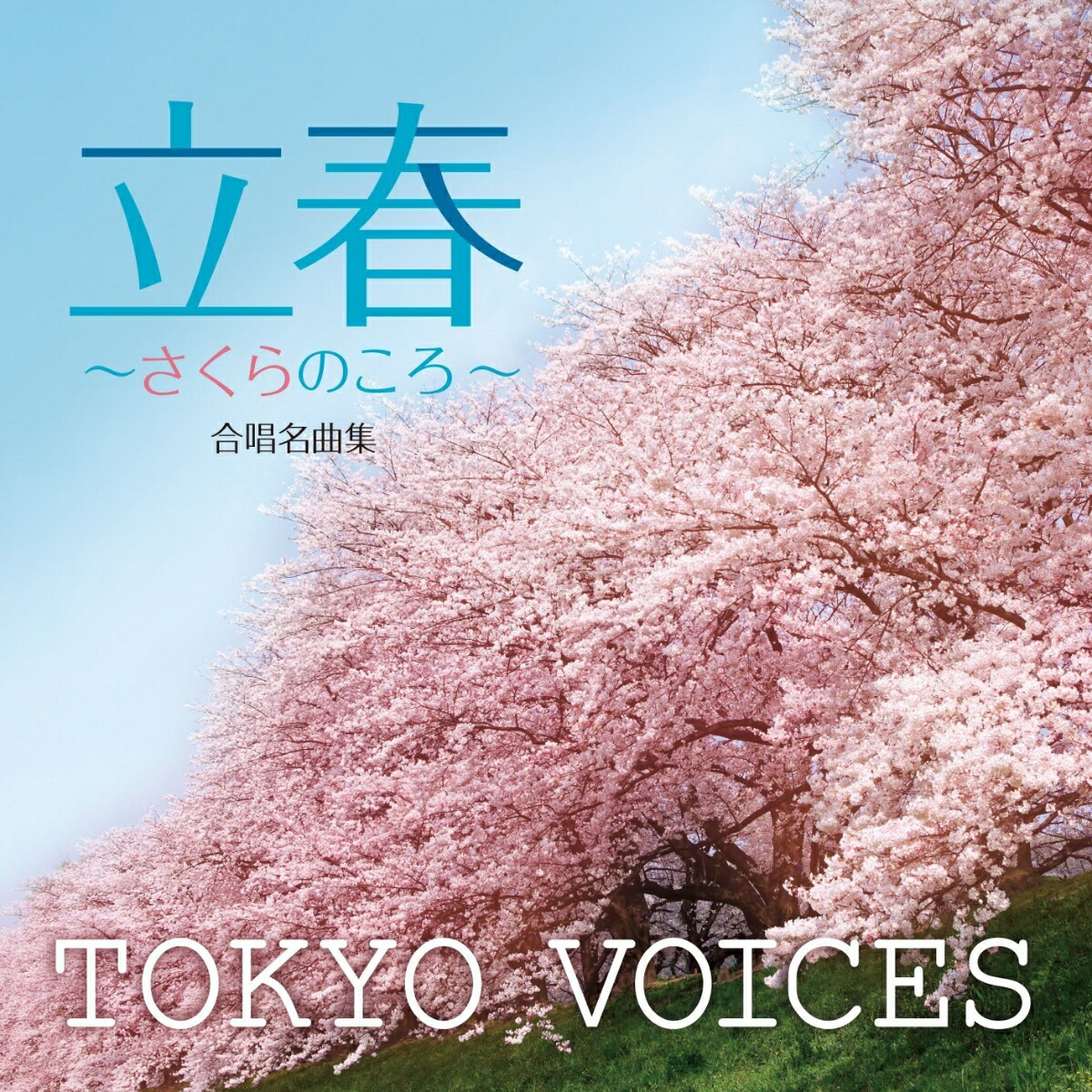 楽天ブックス 合唱名曲集 立春 さくらのころ Tokyo Voices Cd