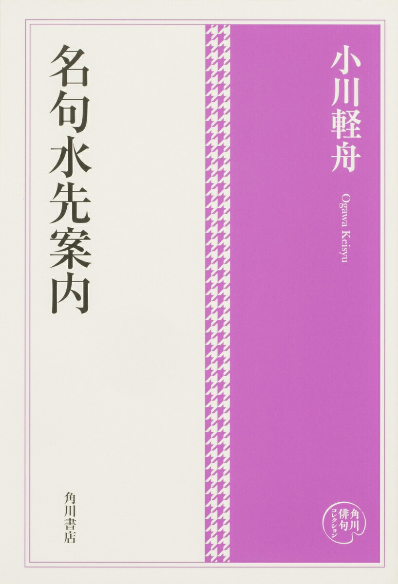 角川俳句コレクション 名句水先案内画像