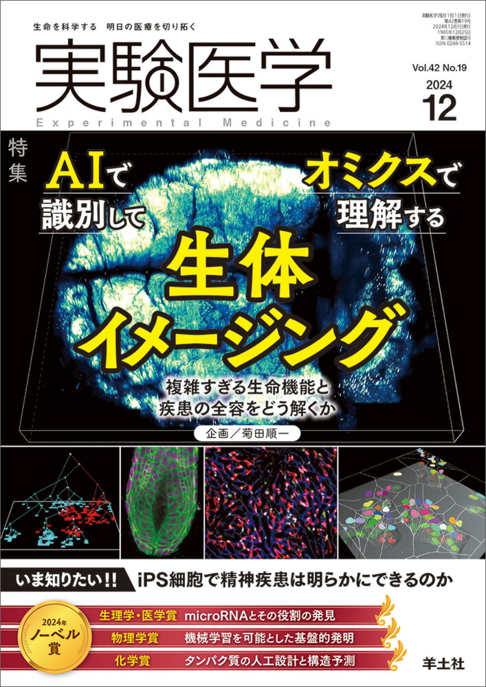 �¸����2024ǯ12���[���Ľ��]